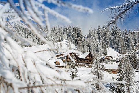 Skurlaub im Alpenhof auf der Emberger Alm